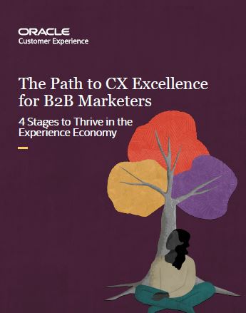 The Path to CX Excellence for B2B Marketers
